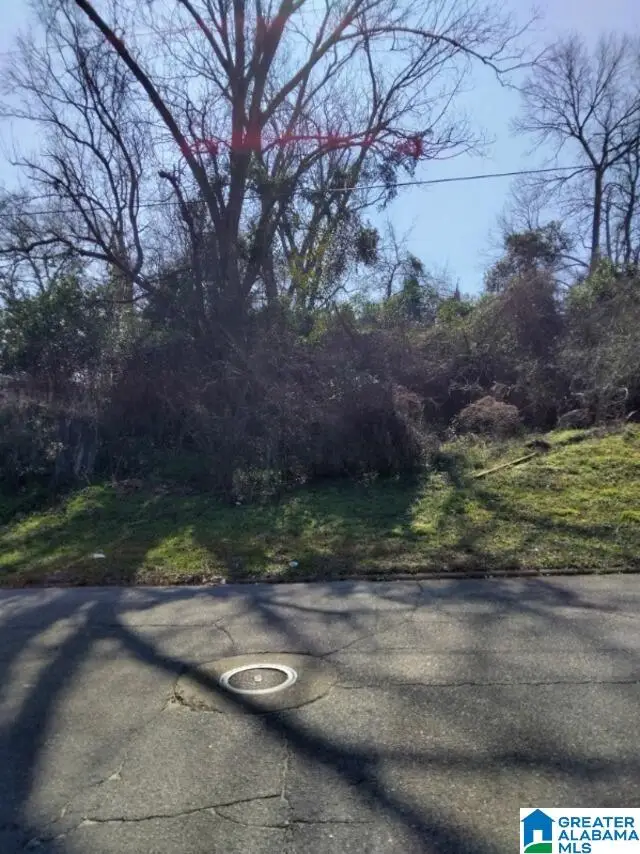 0 DR L.C. MCMILLIAN AVENUE, Troy, AL 36081 - #1