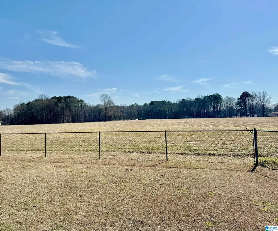 1653 LISTER COURT, Southside, AL 35907 - #3