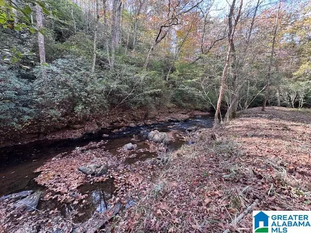 830 COUNTY ROAD 269, Wedowee, AL 36278 - #2