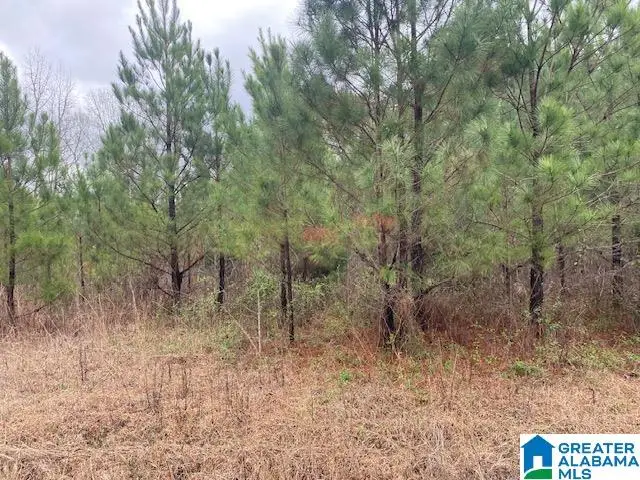0 REFUGE ROAD, Ragland, AL 35131 - #3