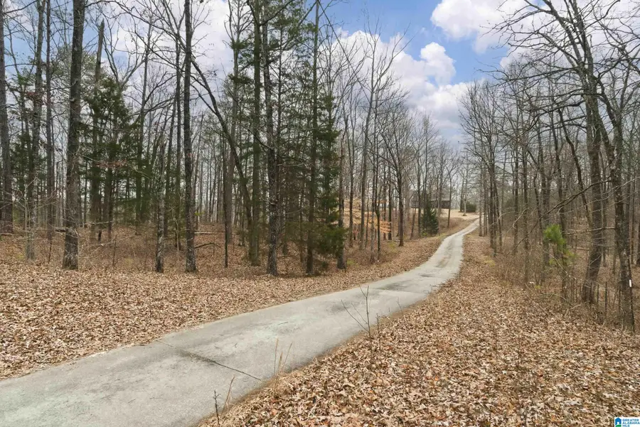 4220 HIGHWAY 11, Pelham, AL 35124 - #2