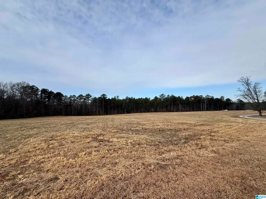 Lot 2 CEDAR SPRINGS DRIVE, Jacksonville, AL 36265 - #2