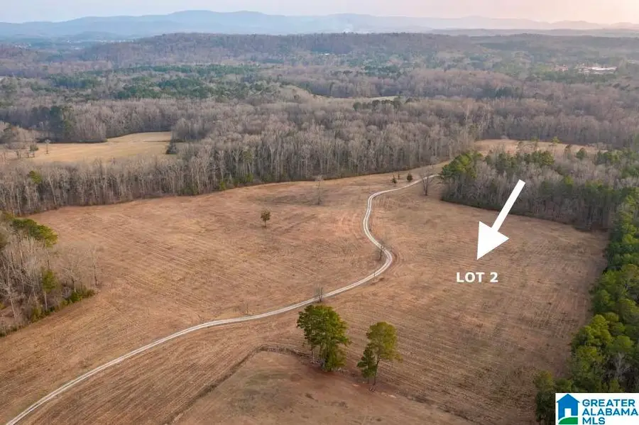 Lot 2 CEDAR SPRINGS DRIVE, Jacksonville, AL 36265 - #3