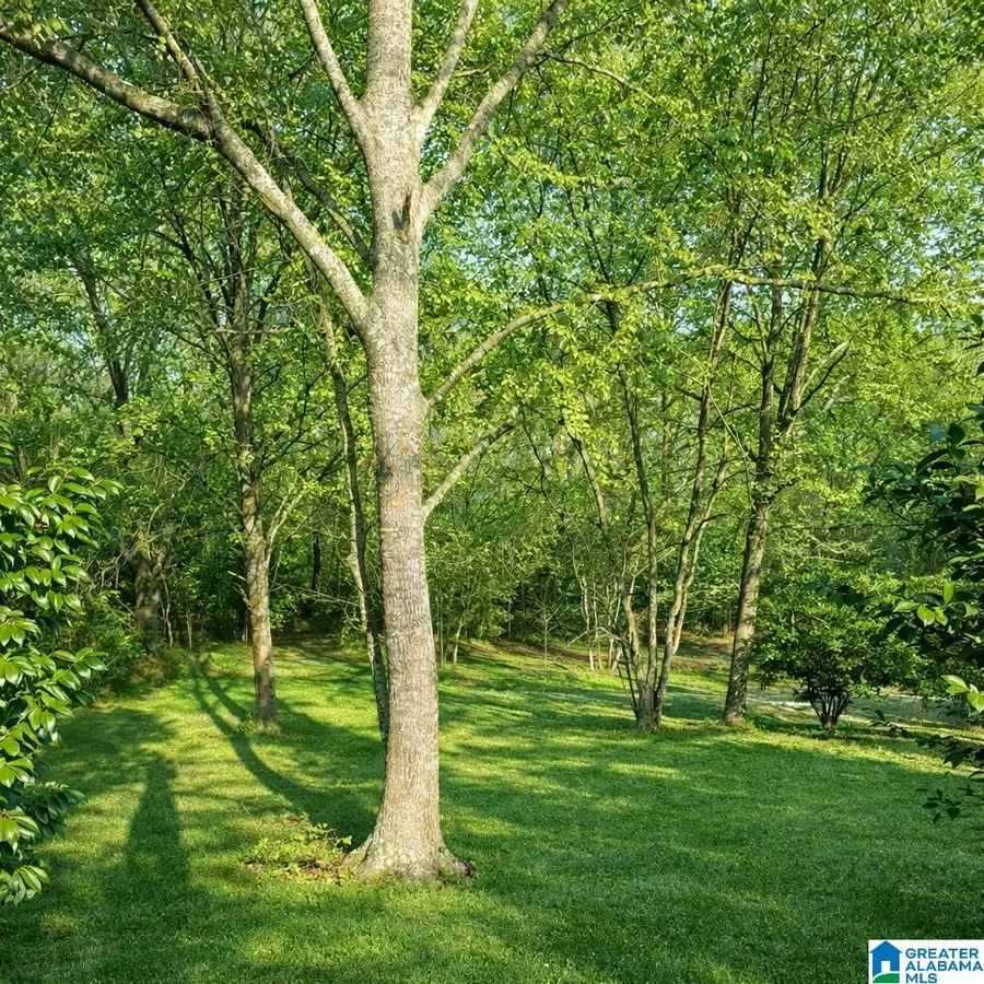 1302 LAY DAM ROAD, Clanton, AL 35045 - #3