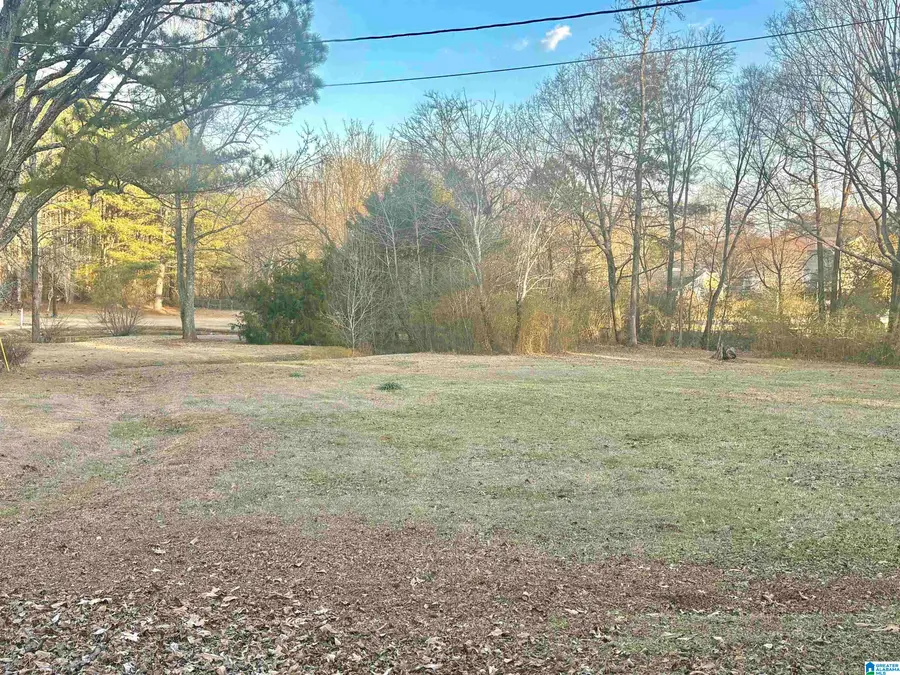 30 ELIZABETH LANE, Springville, AL 35146 - #2