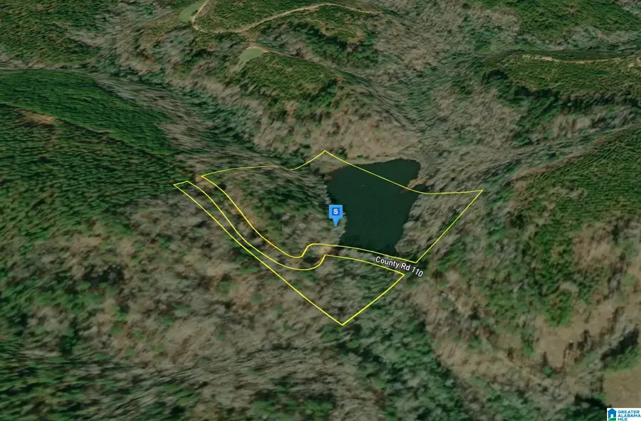 111 COUNTY ROAD 110, Plantersville, AL 36758 - #2