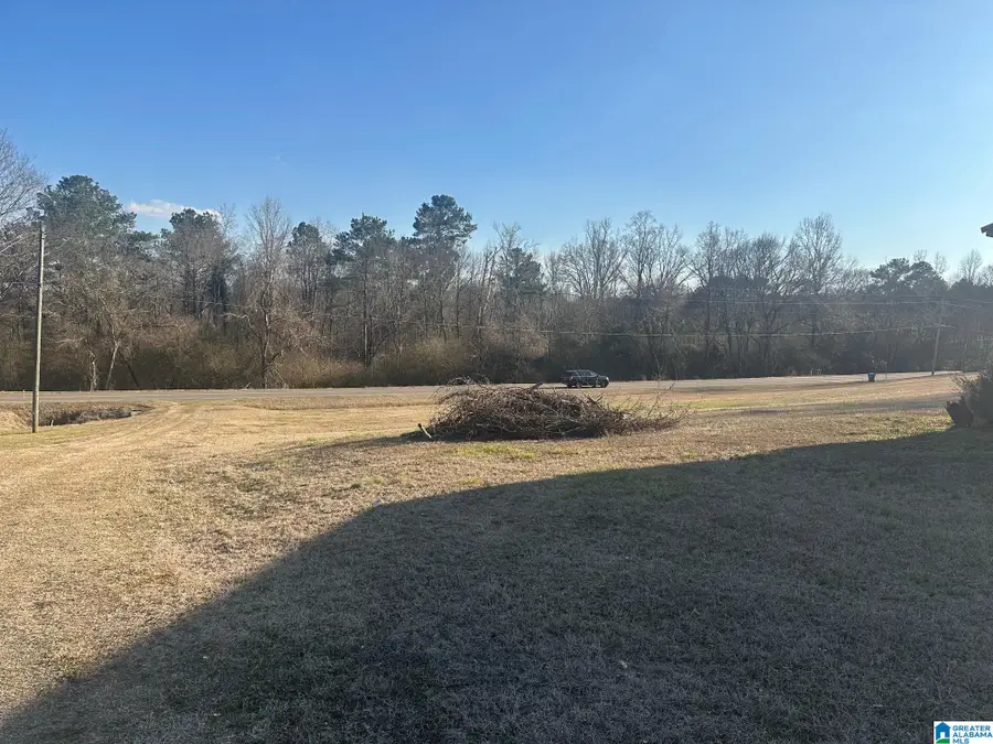 16845 US HIGHWAY 11, Springville, AL 35146 - #2