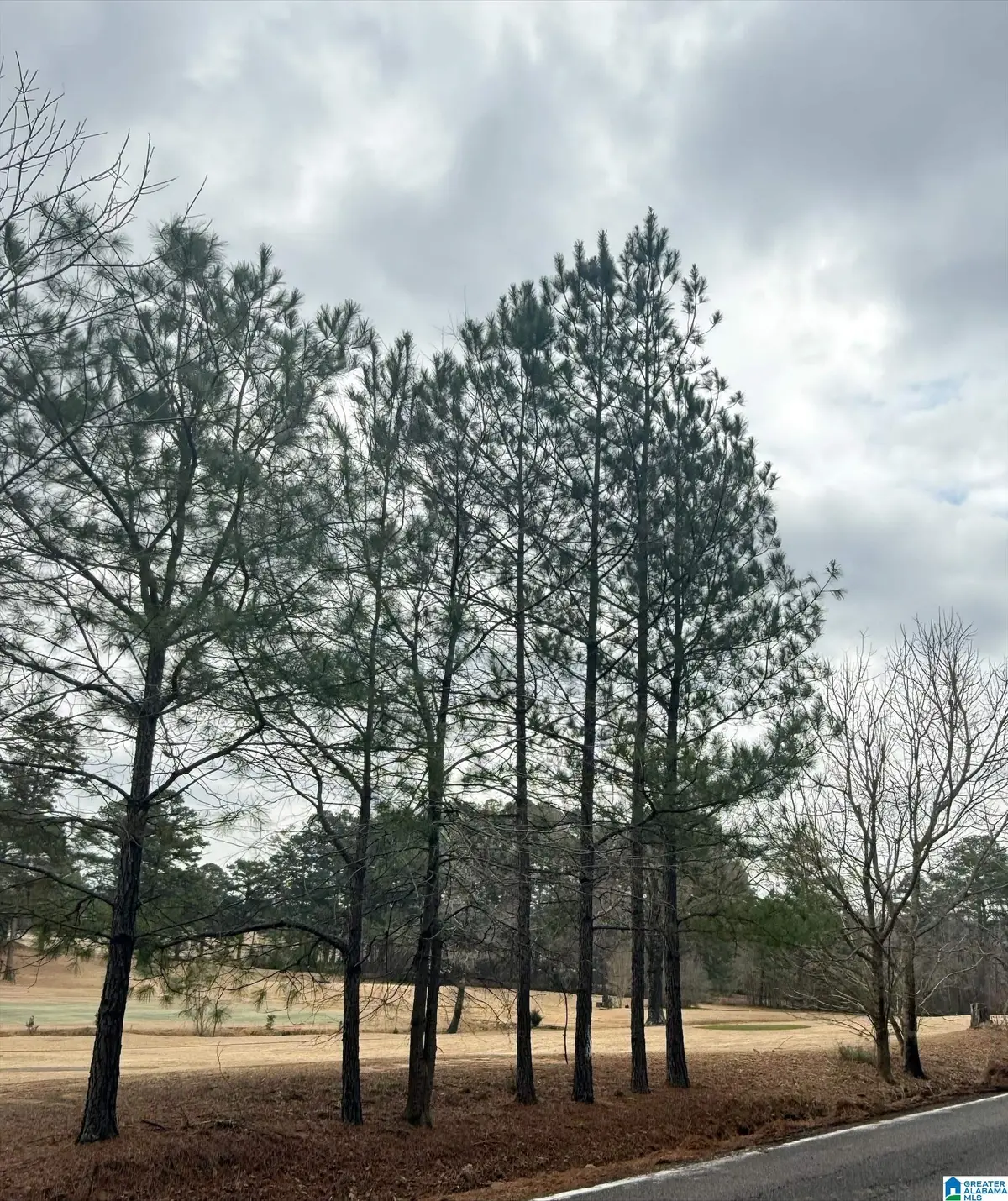 9040 MARSH MOUNTAIN ROAD, Pinson, AL 35126 - Image #1