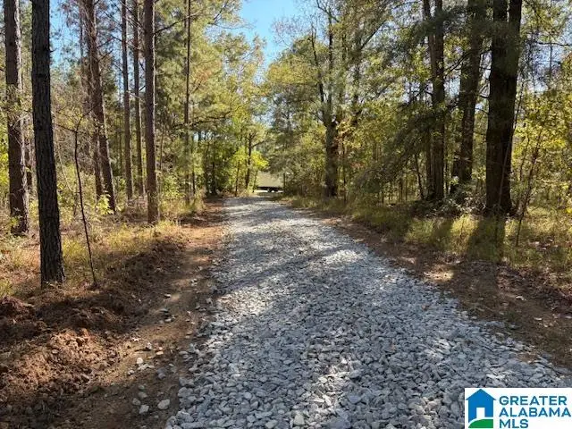 US HWY 231, Mathews, AL 36052 - #1
