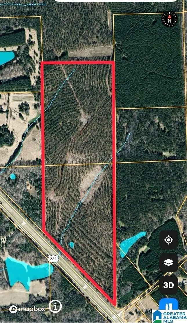 US HWY 231, Mathews, AL 36052 - #2