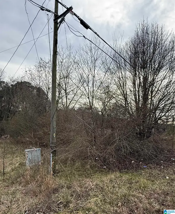 0 QUARRY ROAD, Sylacauga, AL 35150