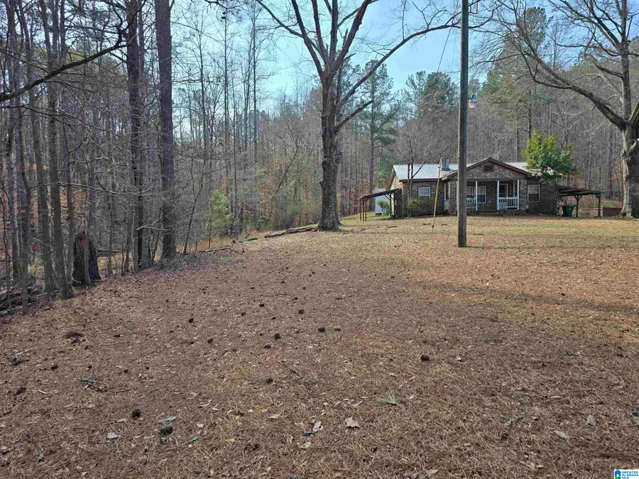 1958 HORNS LAKE ROAD, Talladega, AL 35160 - #3