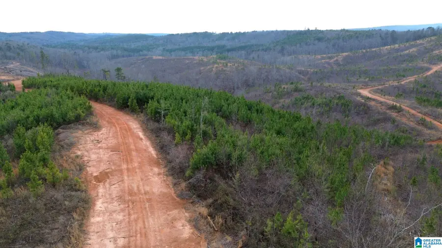 HIGHWAY 49, Lineville, AL 36266 - Image #2