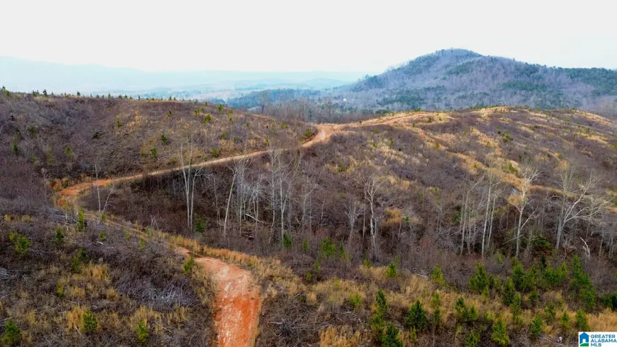 HIGHWAY 49, Lineville, AL 36266 - Image #3