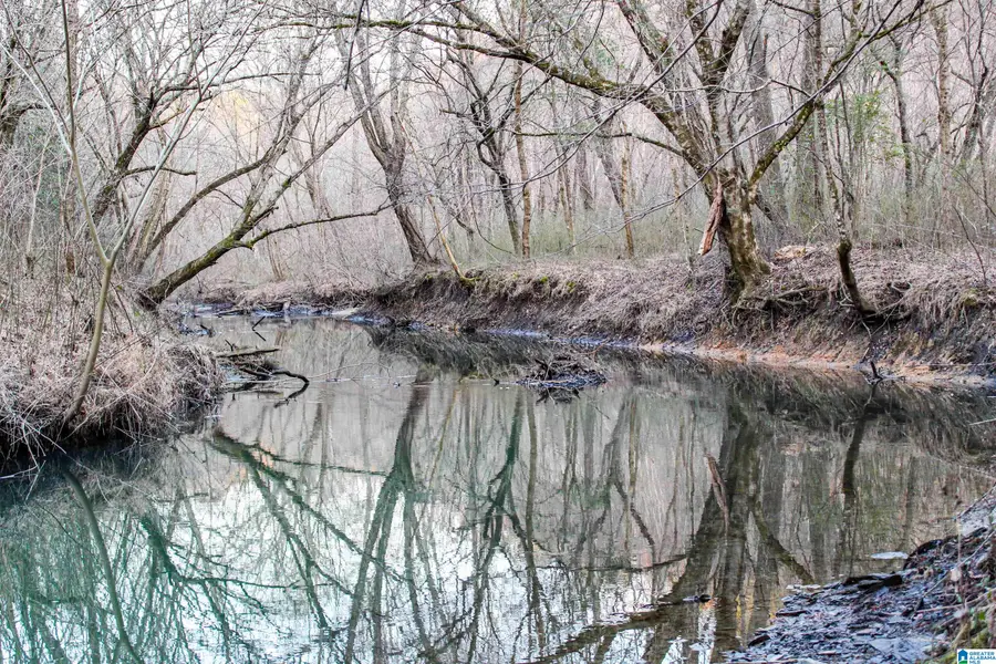 01 HULL ROAD, Empire, AL 35063 - #2