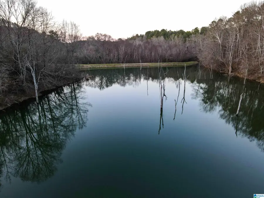 01 HULL ROAD, Empire, AL 35063 - #3