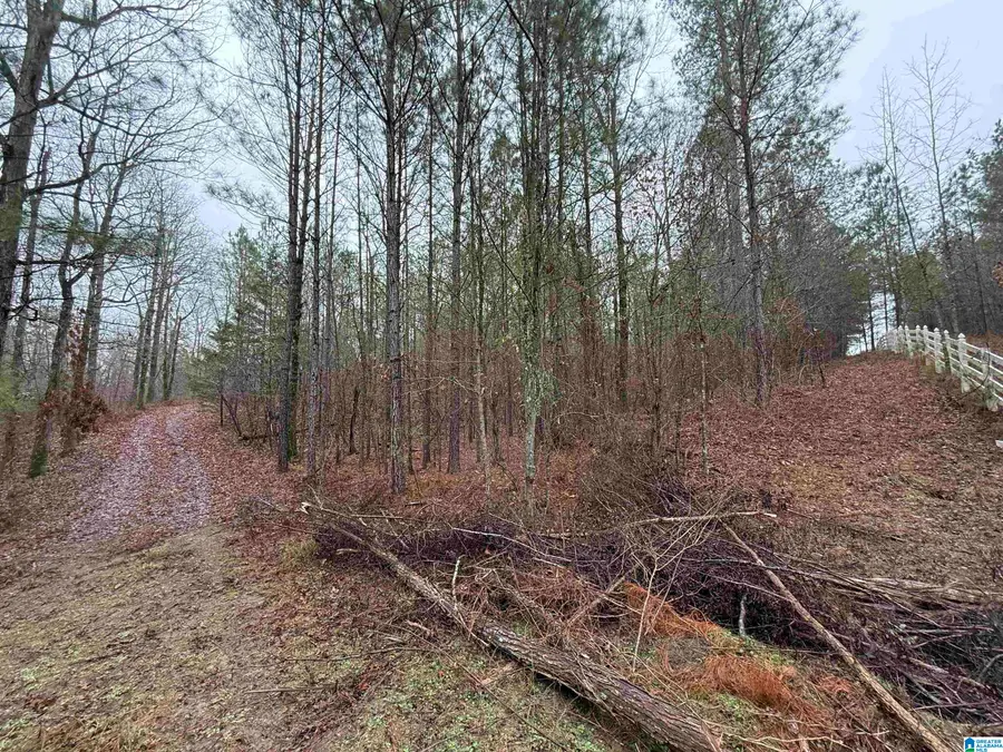 916 SHIRE VALLEY FARMS, Chelsea, AL 35043 - #2