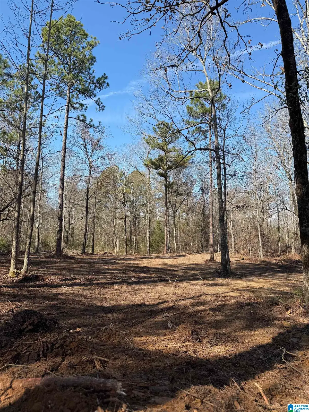 089 MCKESIE STREET, Riverside, AL 35135 - #1