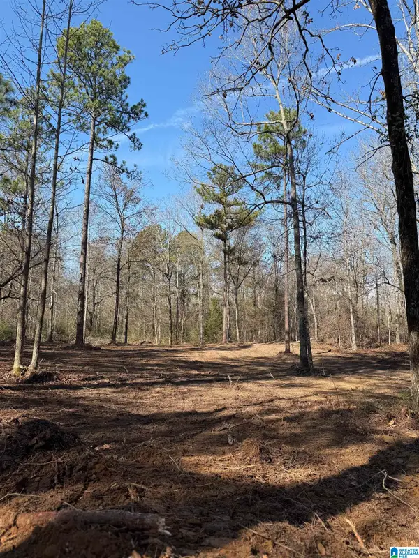 089 MCKESIE STREET, Riverside, AL 35135