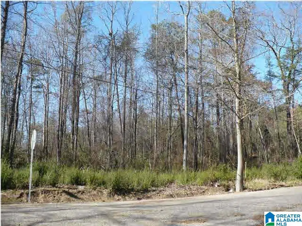 5061 PINSON VALLEY PARKWAY, Birmingham, AL 35215 - #1