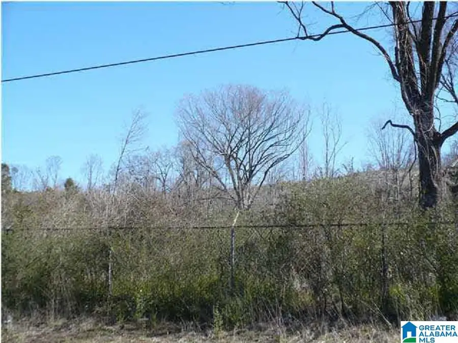 5061 PINSON VALLEY PARKWAY, Birmingham, AL 35215 - #2