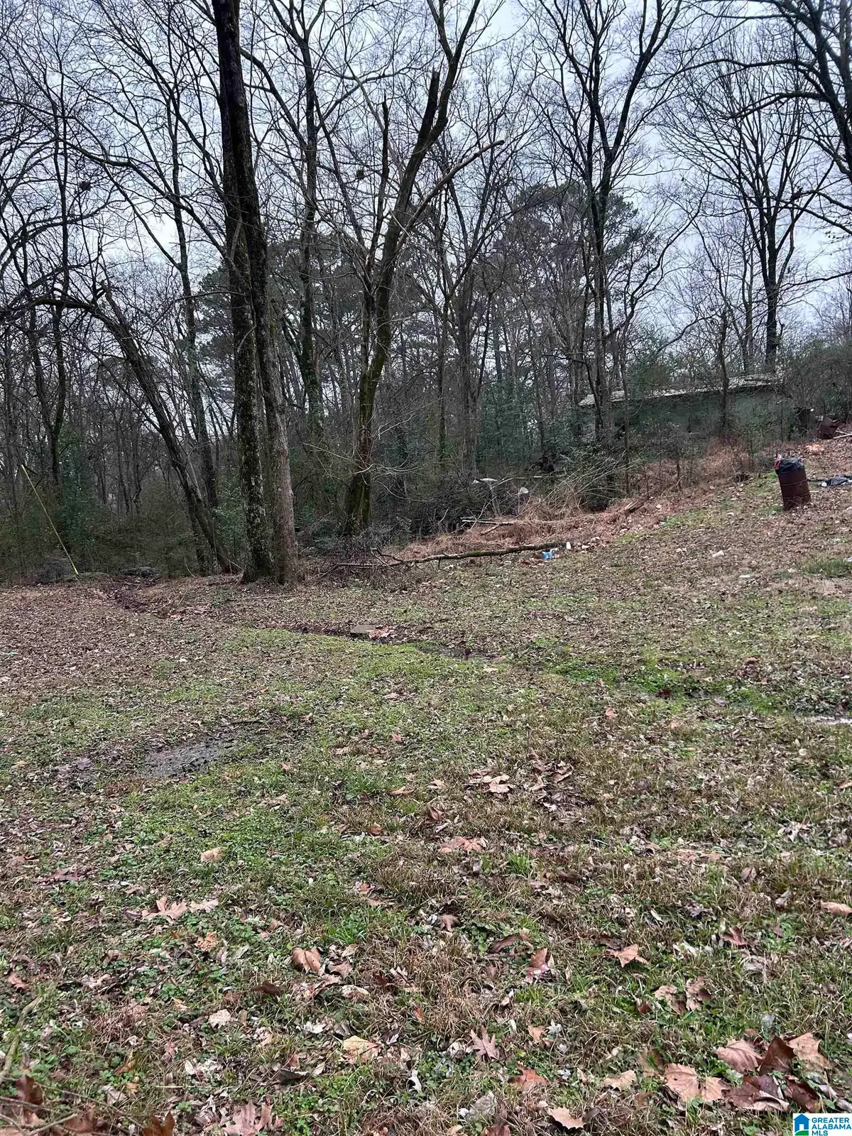 254 FLINT AVENUE, Gardendale, AL 35071 - #1