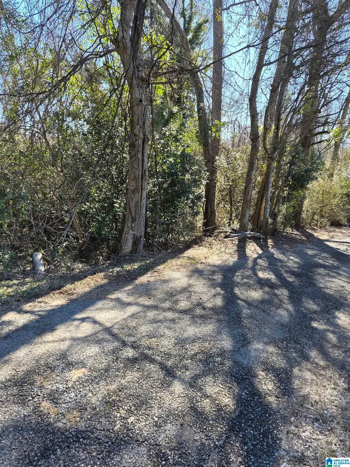 348 HAPPY LANE, Birmingham, AL 35209 - #1