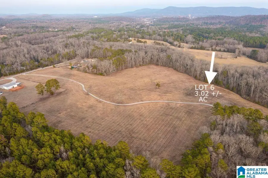 Lot 6 CEDAR SPRINGS DRIVE, Jacksonville, AL 36265 - #3