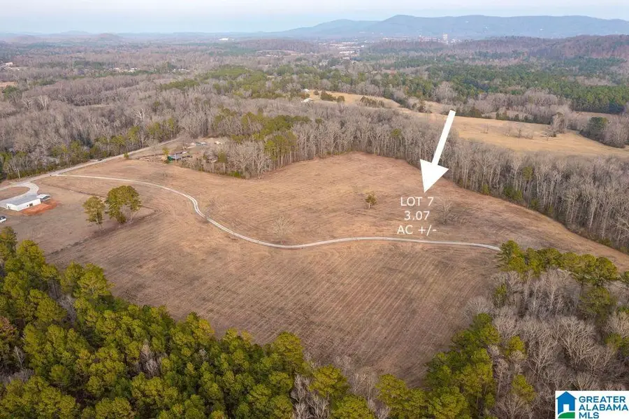 Lot 7 CEDAR SPRINGS DRIVE, Jacksonville, AL 36265 - #3