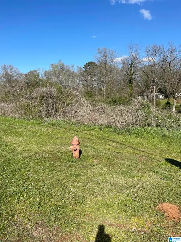 0 FRANKLIN ROAD, Roanoke, AL 36274