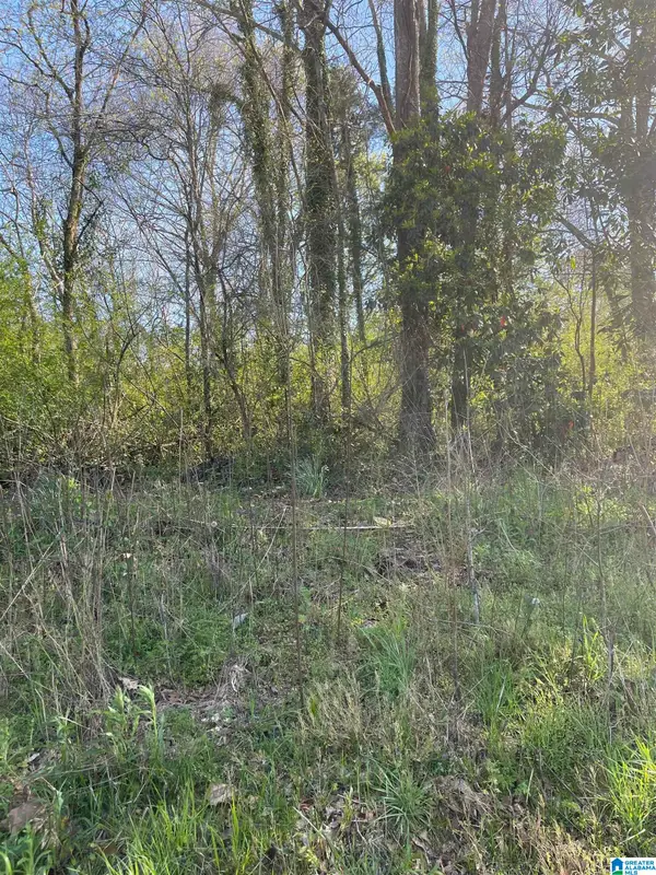 0 FRANKLIN STREET, Roanoke, AL 36274