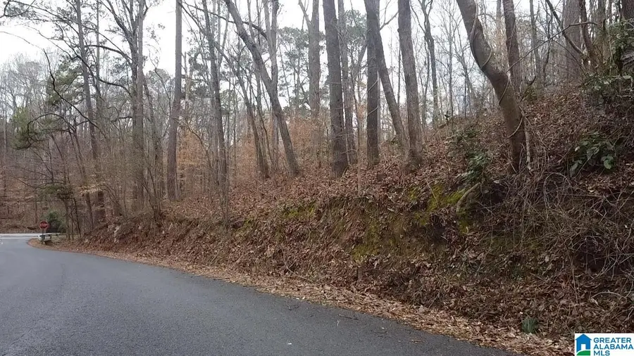 GREENHILL ROAD, Sylacauga, AL 35150 - #2