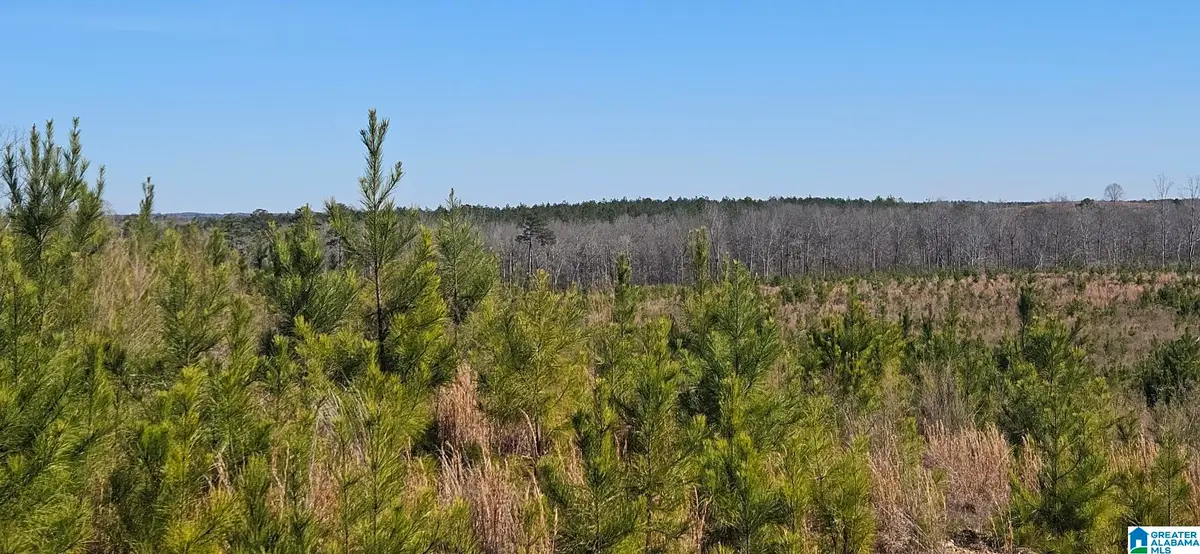 0 HIGHWAY 139, Randolph, AL 36792 - #1