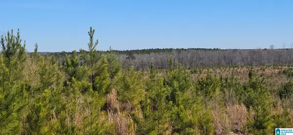 0 HIGHWAY 139, Randolph, AL 36792