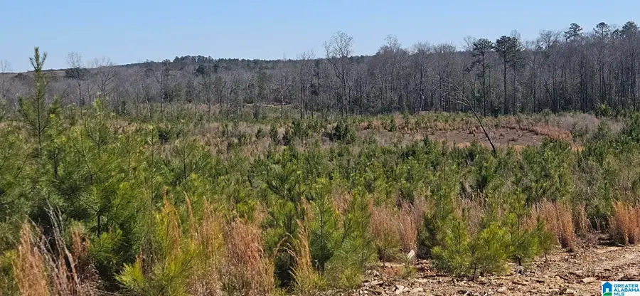 0 HIGHWAY 139, Randolph, AL 36792 - #3