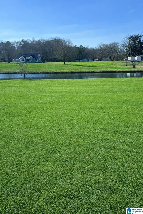 Lot 10 COUNTY ROAD 429, Clanton, AL 35045