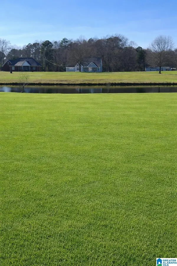 Lot 6 COUNTY ROAD 429, Clanton, AL 35045