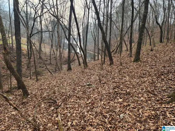 MAYS BEND DRIVE, Pell city, AL 35128