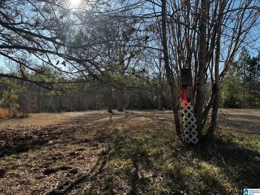 316 COUNTY ROAD 848, Jemison, AL 35085 - #2