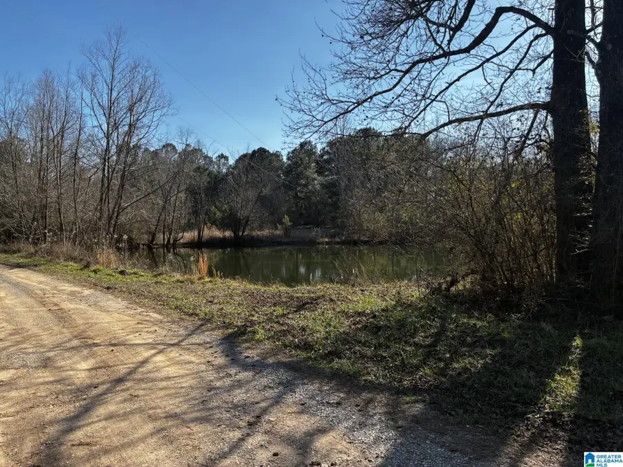 316 COUNTY ROAD 848, Jemison, AL 35085 - #3