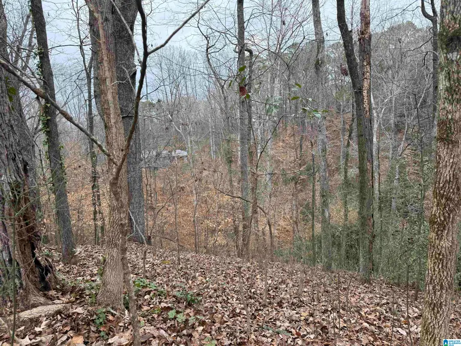 FAIRVIEW DRIVE, Sylacauga, AL 35150 - #2