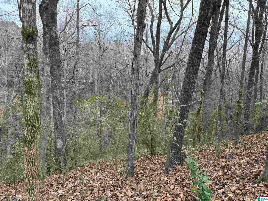 FAIRVIEW DRIVE, Sylacauga, AL 35150 - #3