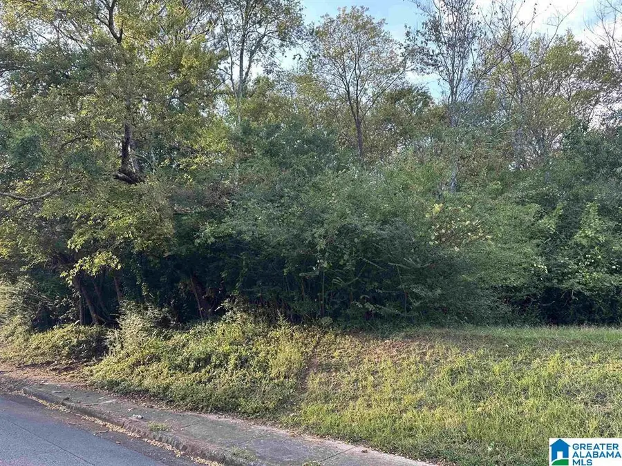 612 VANN STREET SE, Jacksonville, AL 36265 - #2