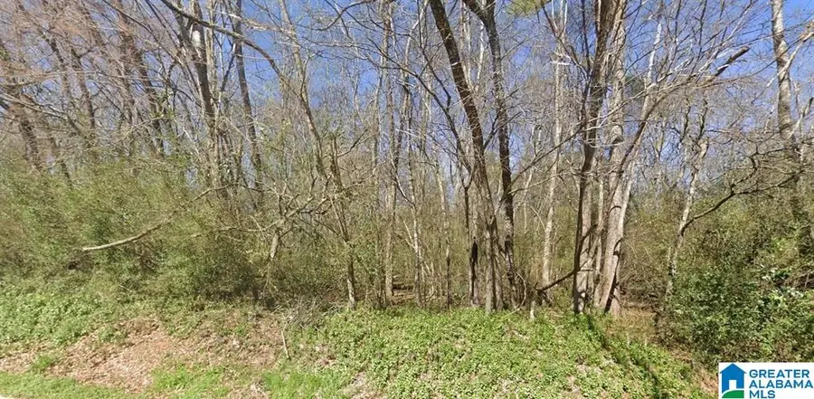 612 VANN STREET SE, Jacksonville, AL 36265 - #3