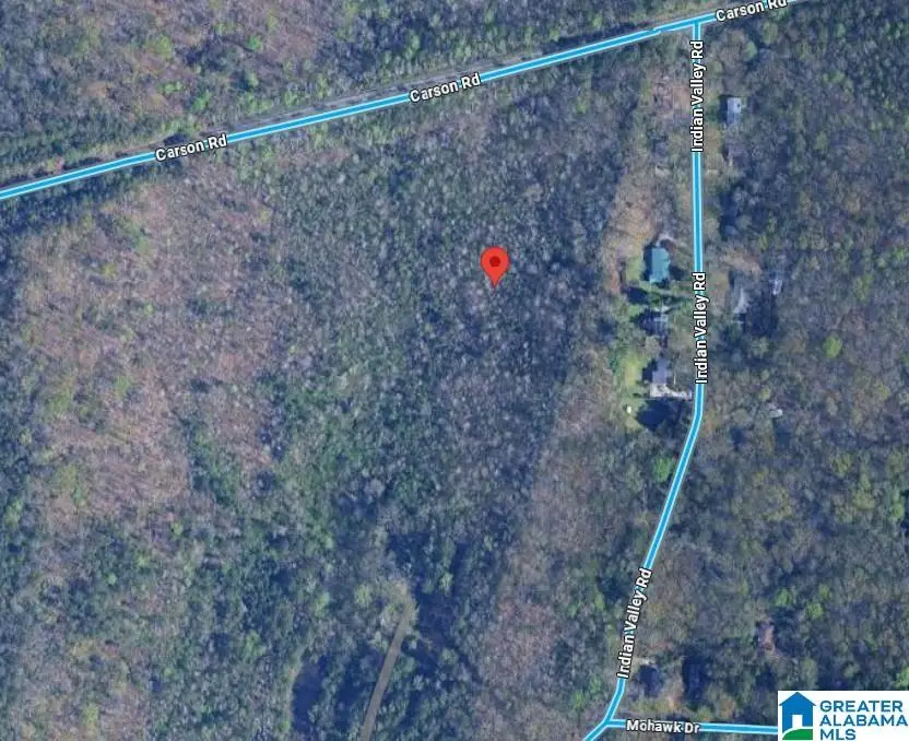 4732 INDIAN VALLEY ROAD, Birmingham, AL 35217 - #1