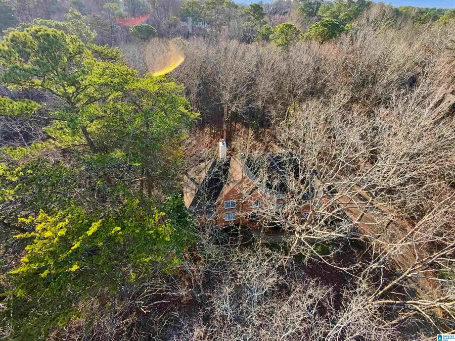 4005 FAIRCHASE LANE, Hoover, AL 35244 - #3