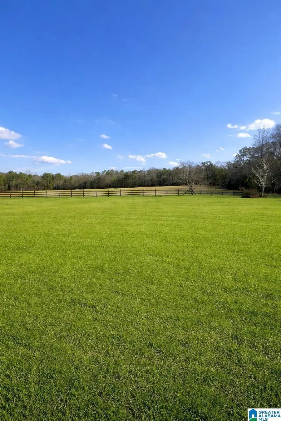 886 COUNTY ROAD 25, Jemison, AL 35085 - #2