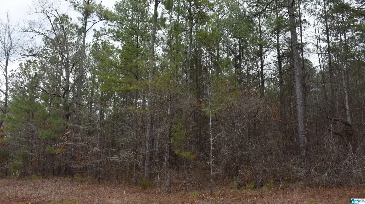 596 WYSTERIA LANE, Sylacauga, AL 35150 - #1