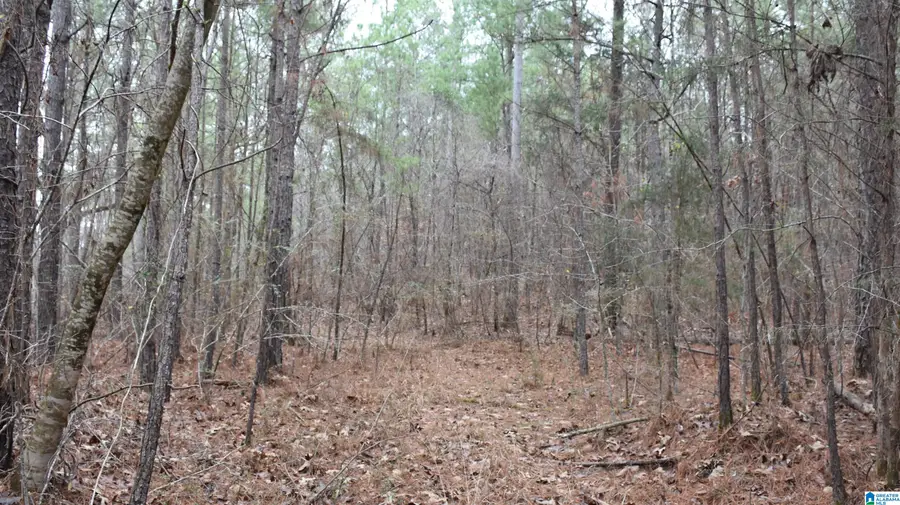 596 WYSTERIA LANE, Sylacauga, AL 35150 - #3