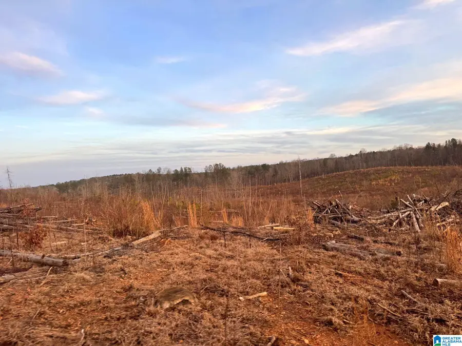 WALKER ROAD, Cragford, AL 36255 - #2